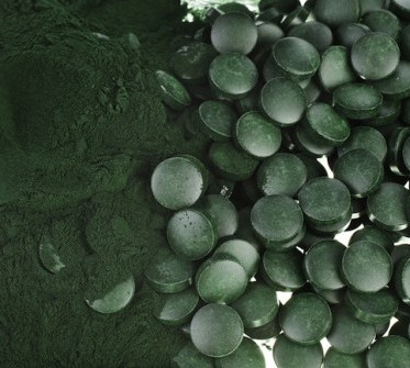 Alga espirulina, alimento del futuro