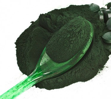 Todo sobre el alga espirulina: propiedades, beneficios y su uso en la cocina